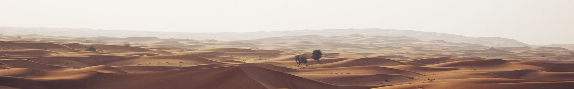 人ŵ˹Ƽ޹˾